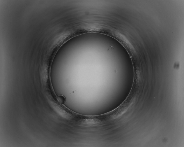 X0000102490541200808081331