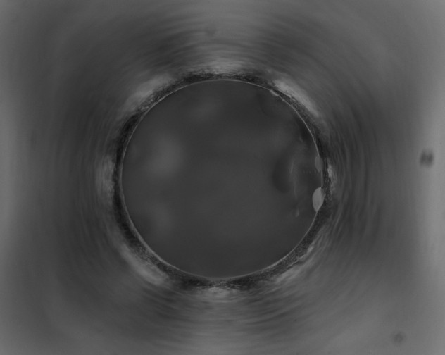 X0000102490542200808081331