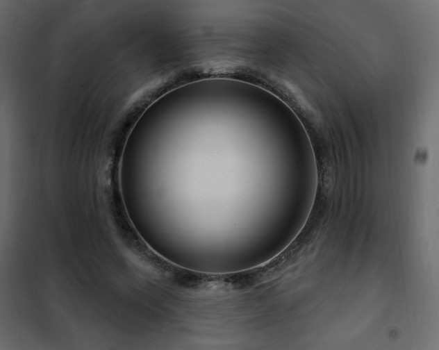 X0000102490543200808081331