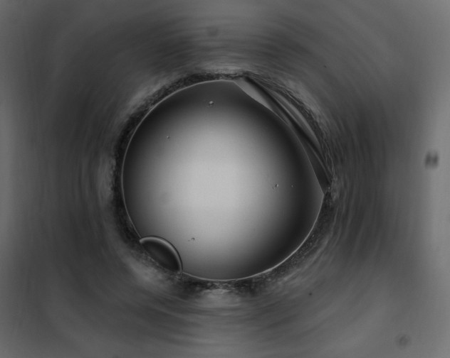 X0000102490544200808081331