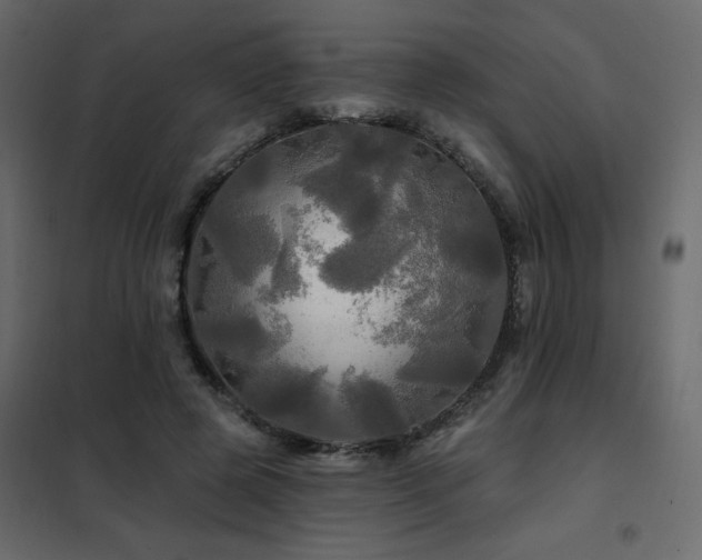 X0000102490545200808081331