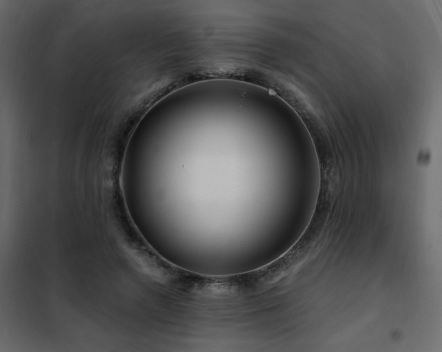 X0000102490546200808081331