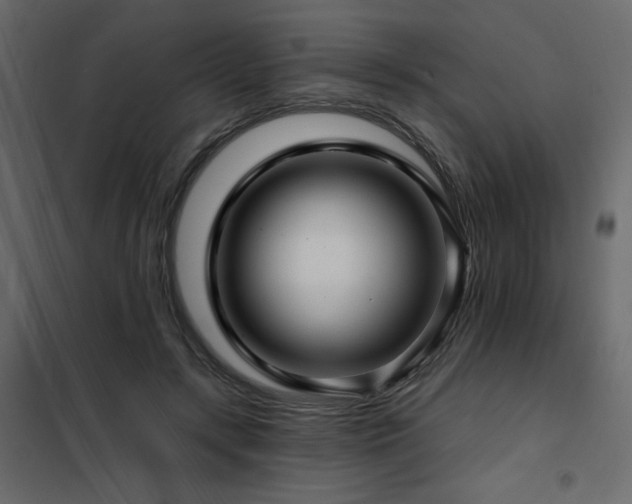X0000102490547200808081331