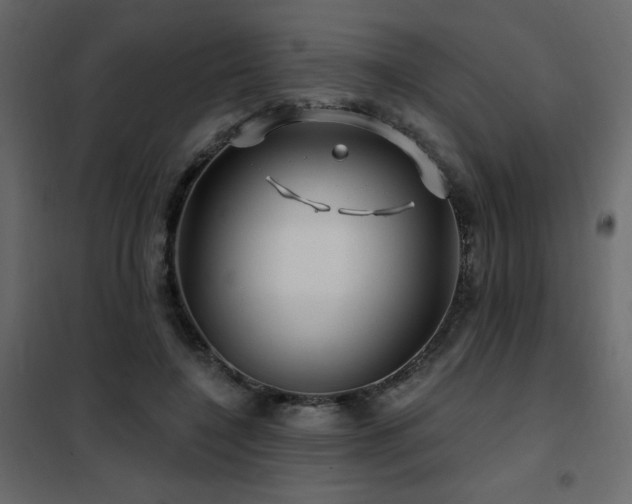 X0000102490548200808081331