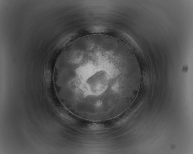 X0000102490549200808081331