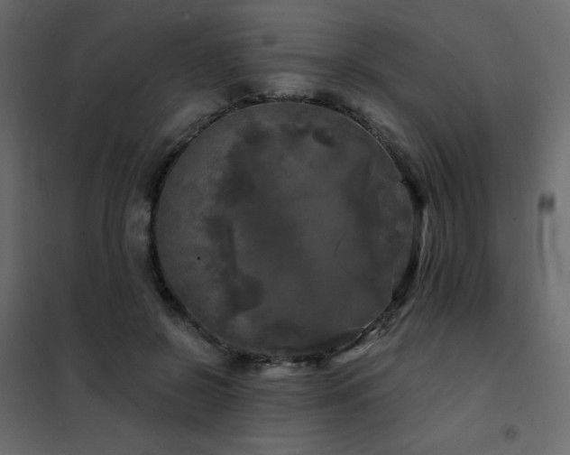 X0000102490550200808081331