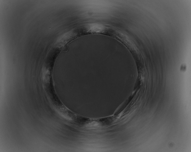X0000102490551200808081331