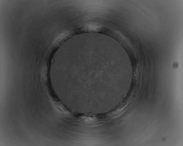X0000102490552200808081331