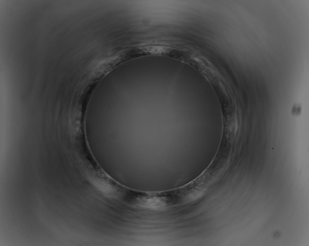 X0000102490553200808081331