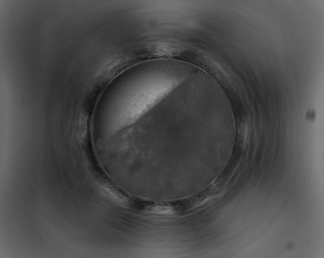 X0000102490554200808081331