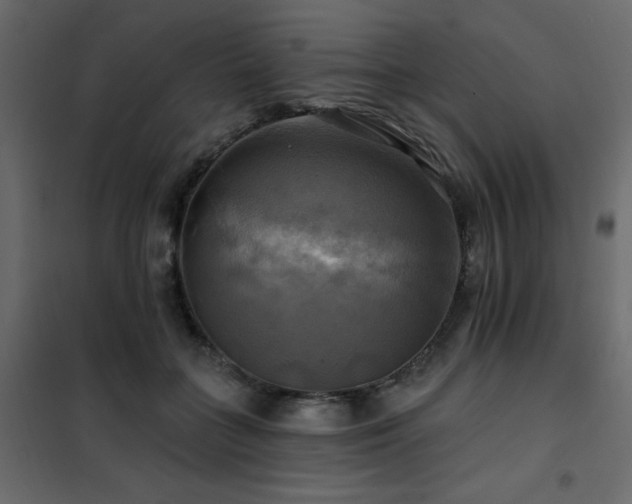 X0000102490555200808081331