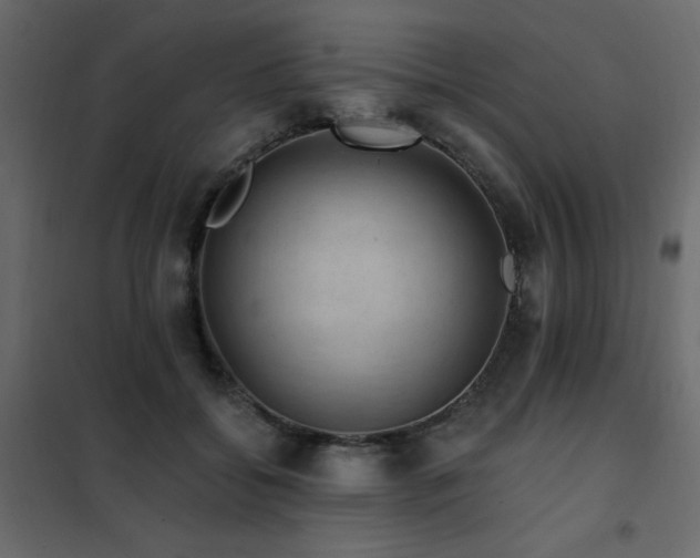 X0000102490556200808081331