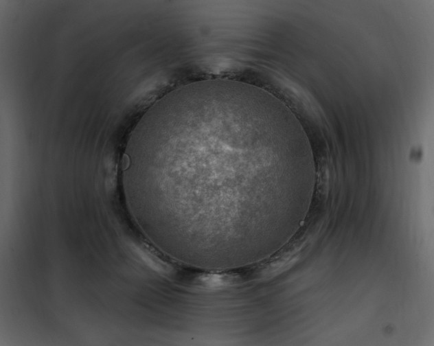 X0000102490558200808081331