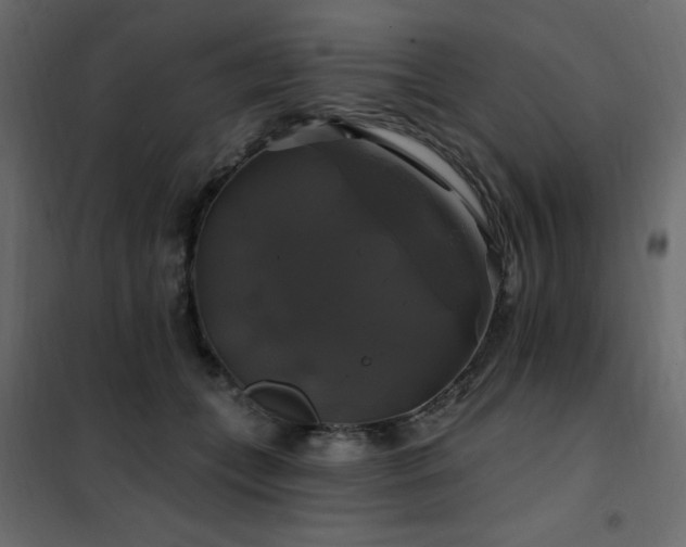 X0000102490559200808081331