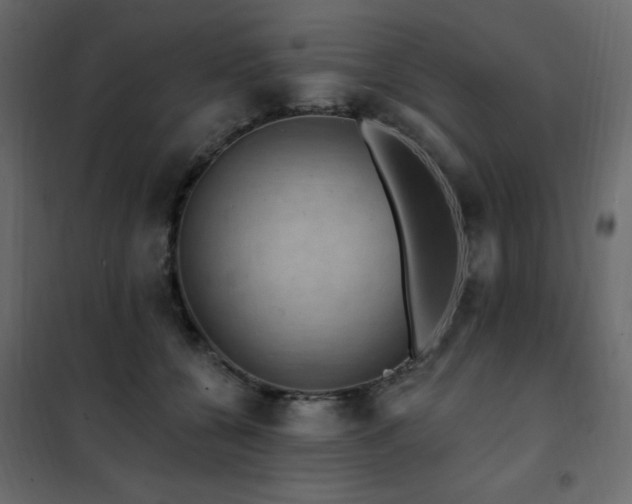 X0000102490560200808081331