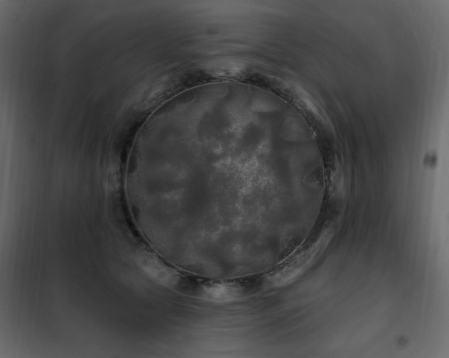 X0000102490561200808081331