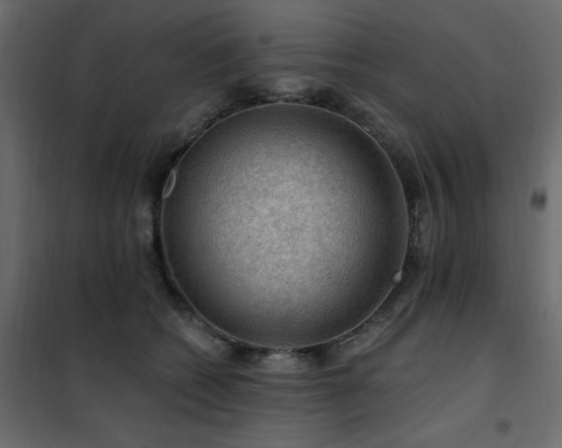 X0000102490562200808081331