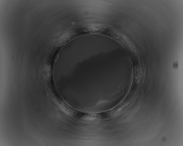 X0000102490563200808081331