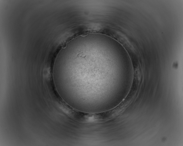 X0000102490564200808081331
