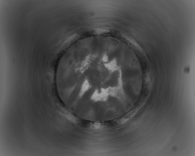 X0000102490565200808081331