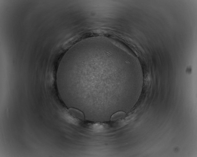 X0000102490566200808081331