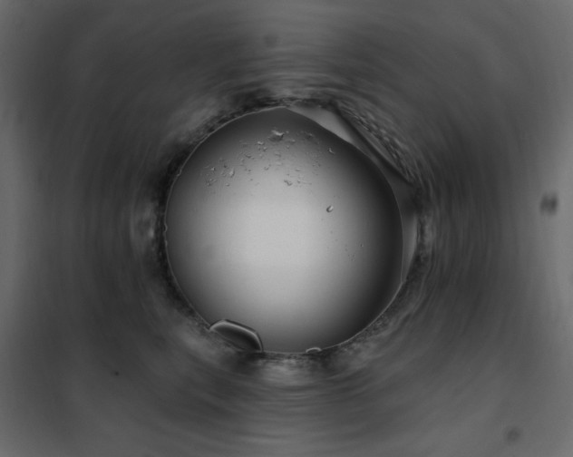 X0000102490567200808081331