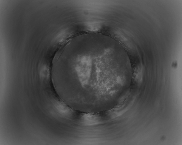 X0000102490568200808081331