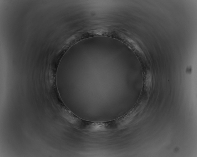 X0000102490569200808081331