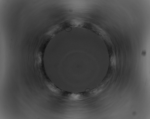X0000102490570200808081331