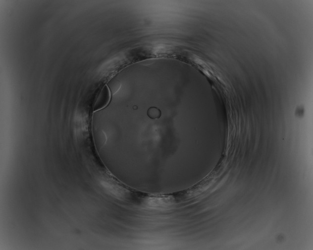 X0000102490571200808081331