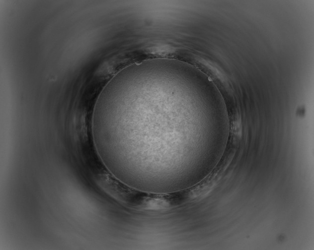 X0000102490572200808081331