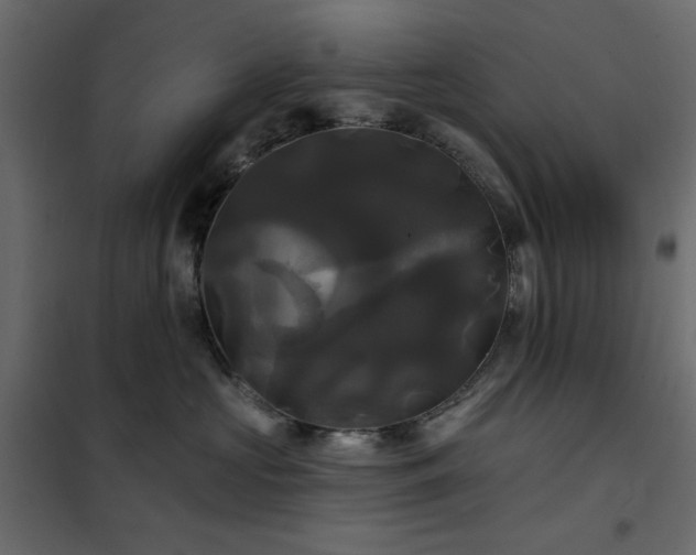 X0000102490573200808081331