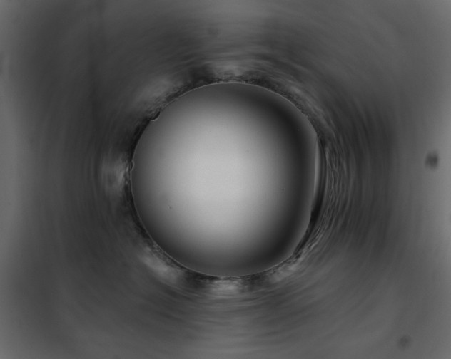 X0000102490574200808081331