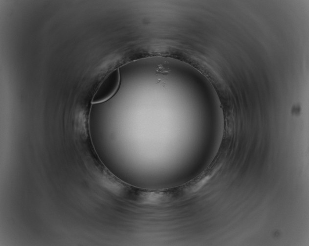 X0000102490575200808081331