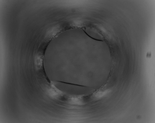 X0000102490576200808081331