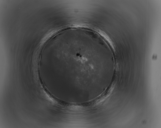 X0000102490577200808081331
