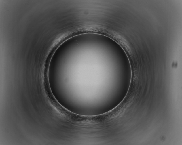 X0000102490578200808081331