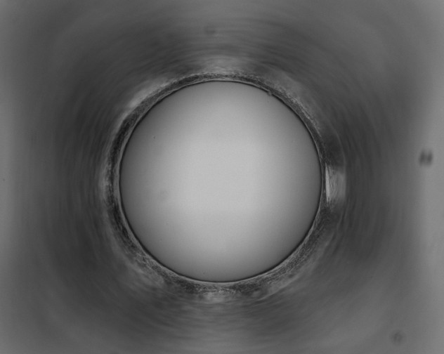 X0000102490579200808081331