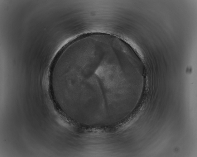 X0000102490580200808081331