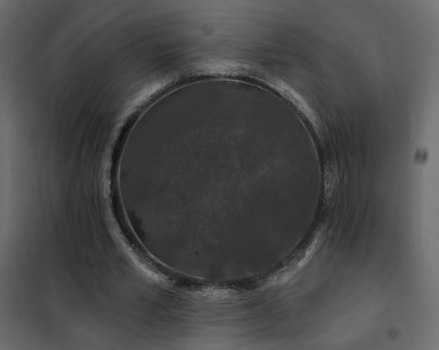 X0000102490581200808081331