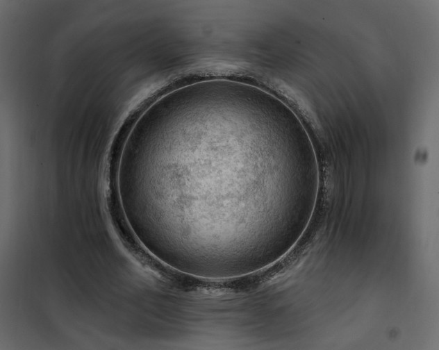 X0000102490582200808081331