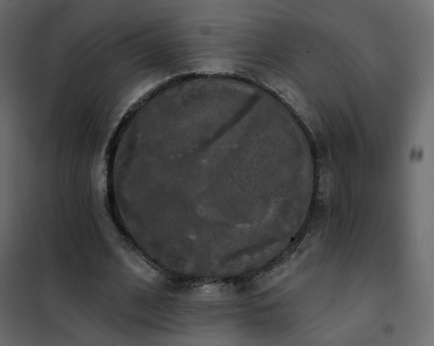 X0000102490584200808081331