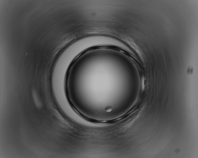 X0000102490585200808081331