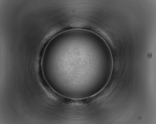 X0000102490586200808081331
