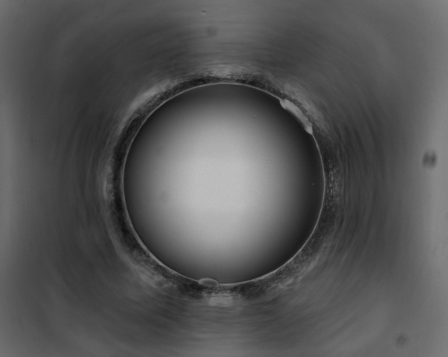 X0000102490587200808081331