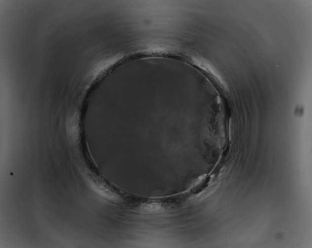 X0000102490588200808081331
