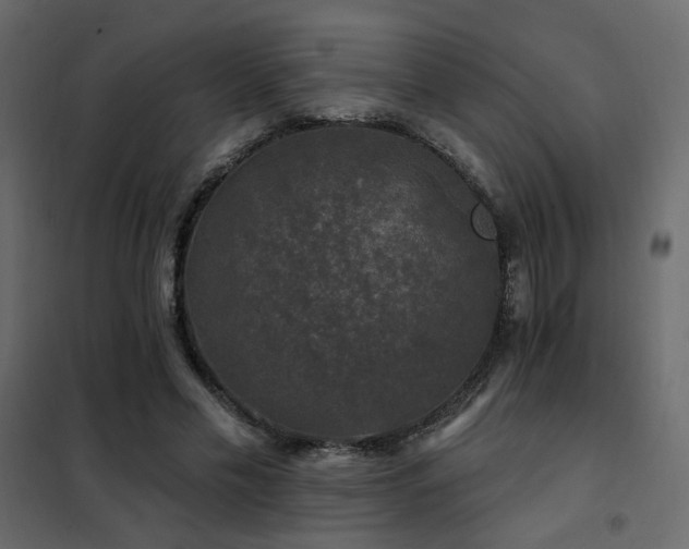X0000102490589200808081331