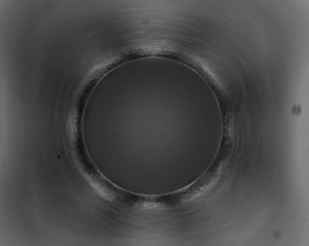 X0000102490590200808081331