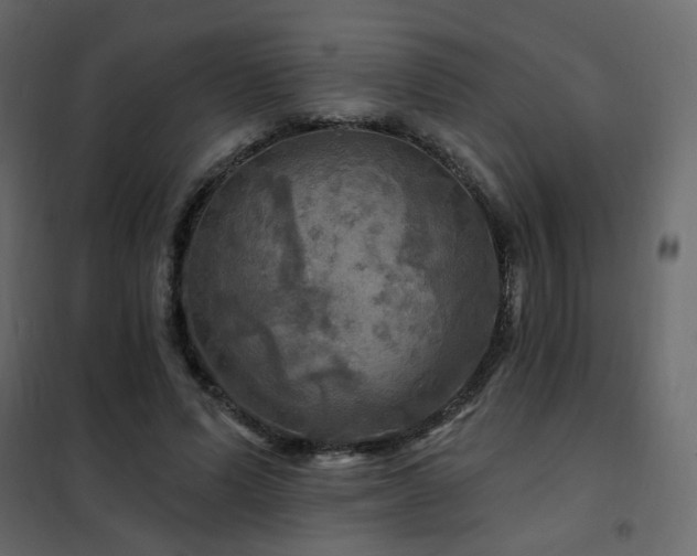 X0000102490591200808081331