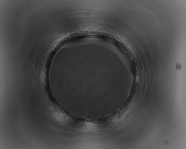 X0000102490592200808081331